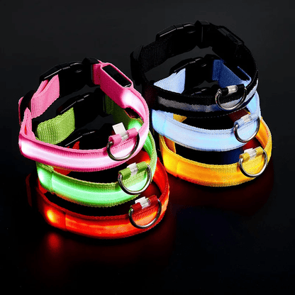 Pawzioo™ High-Brightness LED Dog Collar – Durable & Rechargeable