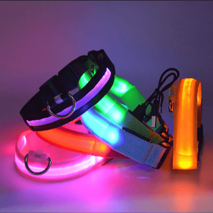 Pawzioo™ High-Brightness LED Dog Collar – Durable & Rechargeable