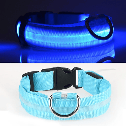 Pawzioo™ High-Brightness LED Dog Collar – Durable & Rechargeable