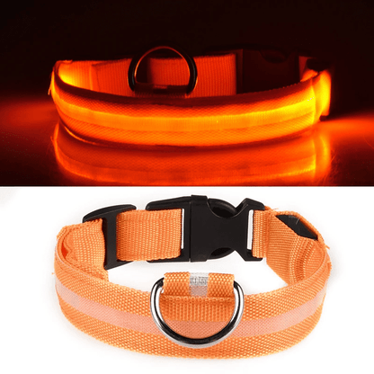 Pawzioo™ High-Brightness LED Dog Collar – Durable & Rechargeable