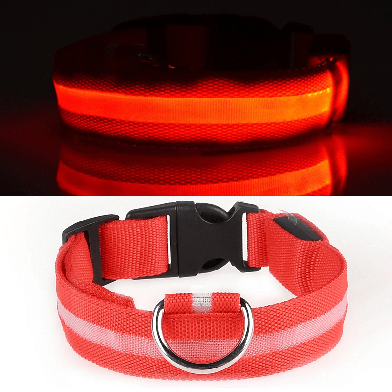 Pawzioo™ High-Brightness LED Dog Collar – Durable & Rechargeable